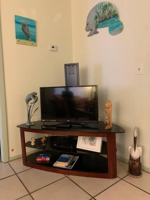 Professor Rousseau'S Manatee Bay Apartment Crystal River Exterior photo
