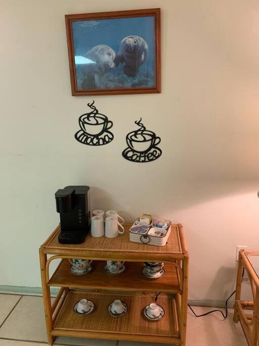 Professor Rousseau'S Manatee Bay Apartment Crystal River Exterior photo