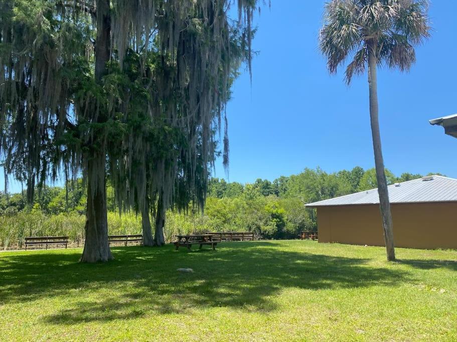 Professor Rousseau'S Manatee Bay Apartment Crystal River Exterior photo