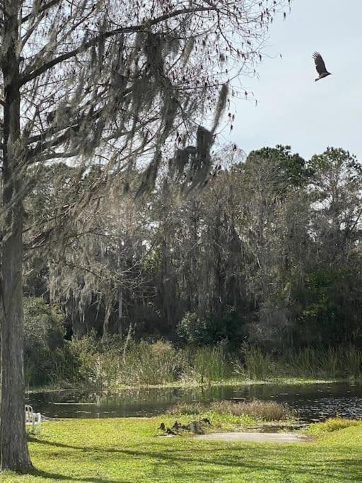 Professor Rousseau'S Manatee Bay Apartment Crystal River Exterior photo